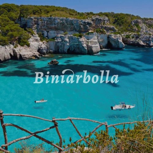 BINIARBOLLA more amor branding packaging bebidas