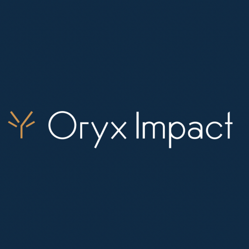 Oryx Impact brand identity logo by More Amor, branding strategists